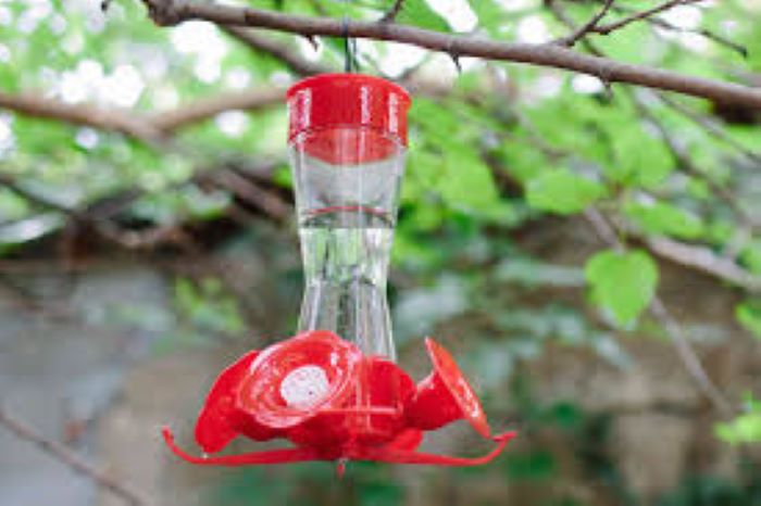 Best Place to Hang a Hummingbird Feeder