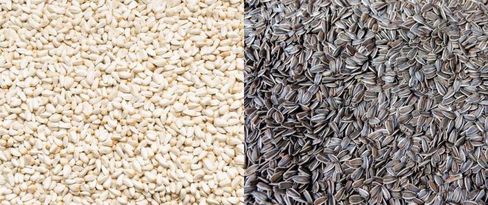 What Birds Eat Safflower Seeds A Clear Overview